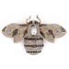 brosa albina queen bee